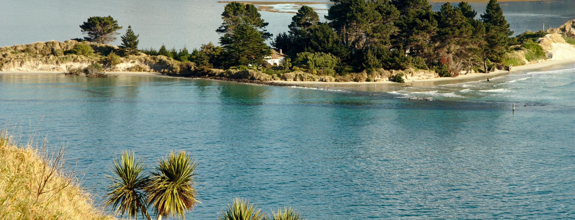 A tranquil island scene with lush trees and calm blue waters, perfect for nature lovers.