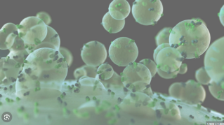 Green-tinted microscopic image of coronavirus particles illustrating viral structures.